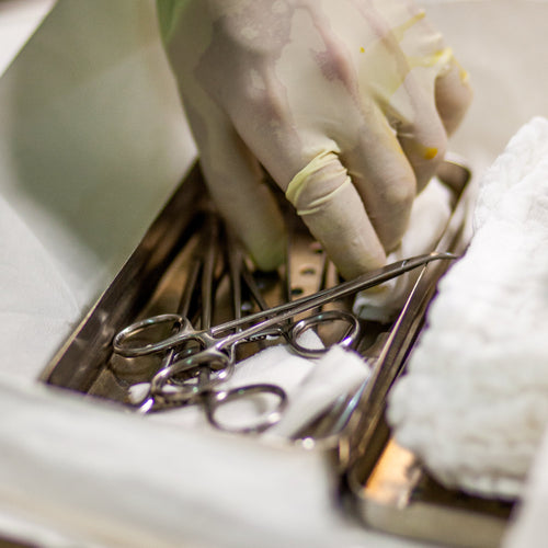 Hand wearing a glove holding surgical instruments in a tray with gauze.